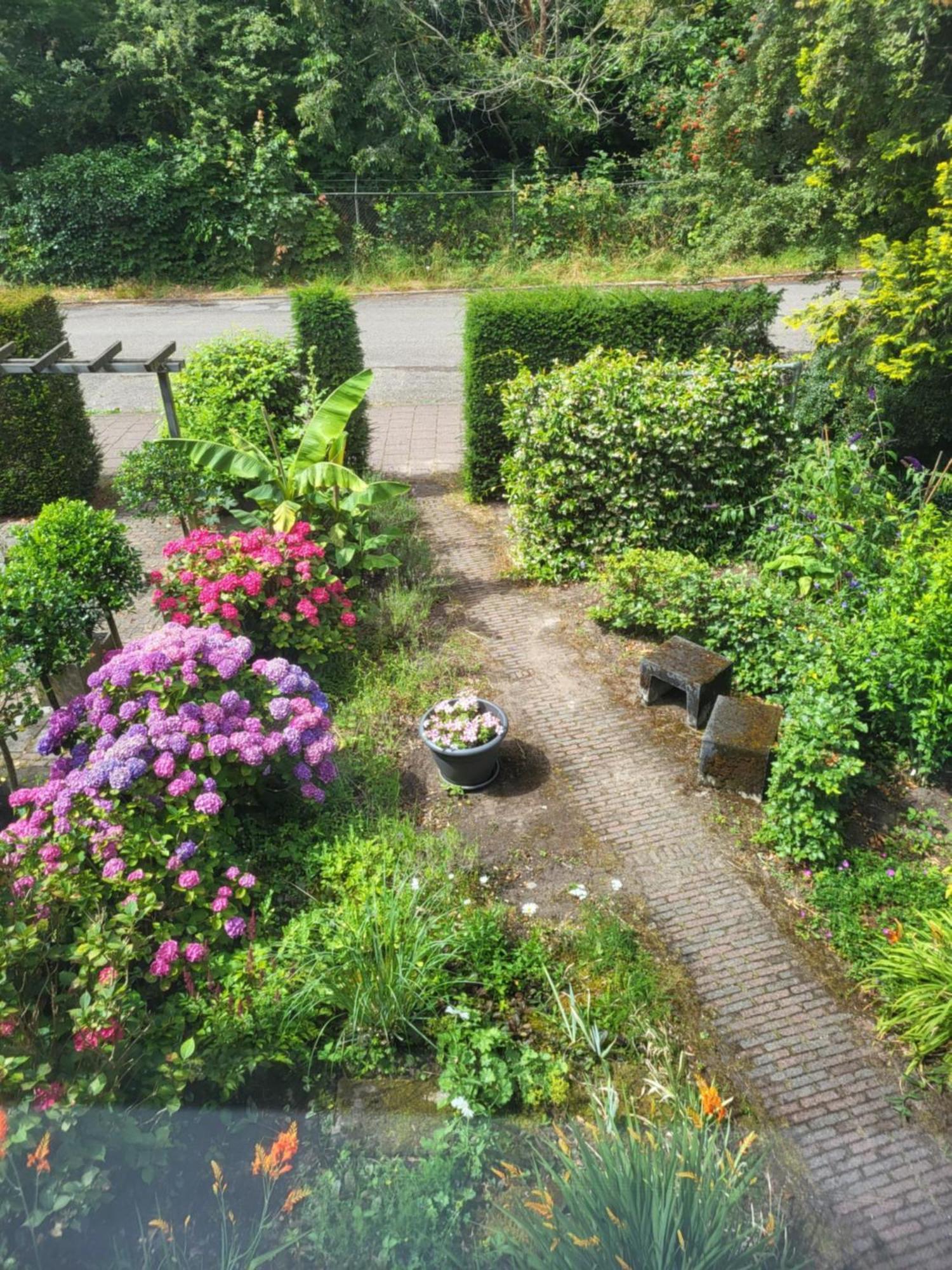 My-A-Mi-Go-S Bed & Breakfast Muiderberg Exterior photo